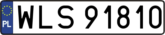 WLS91810