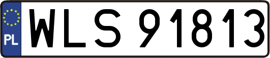 WLS91813