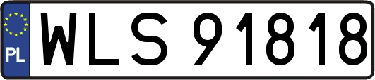 WLS91818