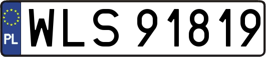 WLS91819