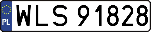 WLS91828