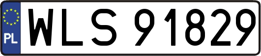 WLS91829