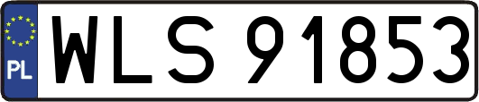 WLS91853