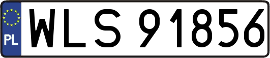 WLS91856