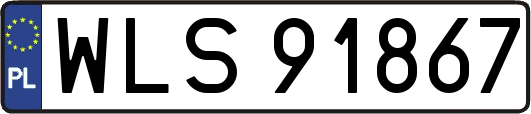 WLS91867