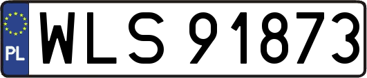 WLS91873