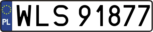WLS91877
