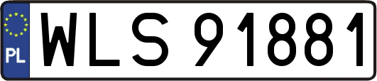 WLS91881