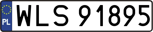 WLS91895