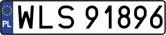 WLS91896