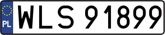 WLS91899