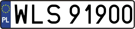WLS91900
