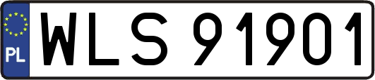 WLS91901
