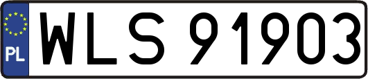 WLS91903