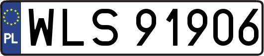 WLS91906