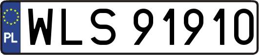 WLS91910