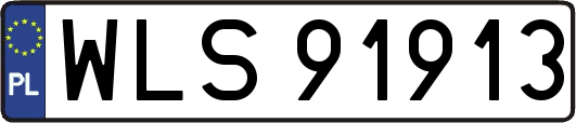 WLS91913