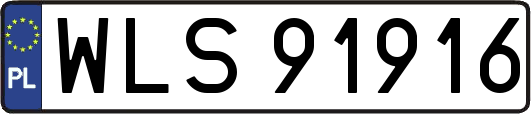 WLS91916