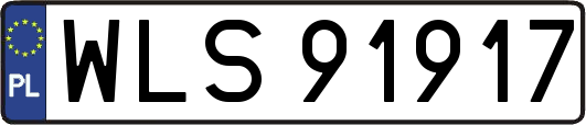 WLS91917