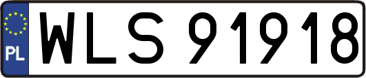 WLS91918