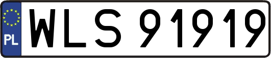 WLS91919