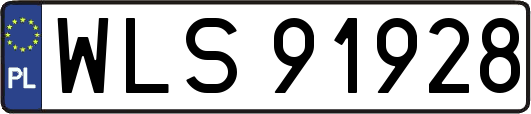 WLS91928