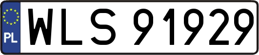 WLS91929