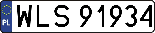 WLS91934