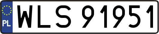 WLS91951