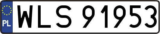 WLS91953