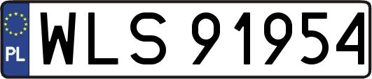 WLS91954