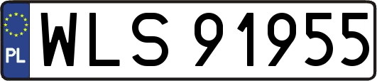 WLS91955