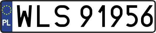 WLS91956