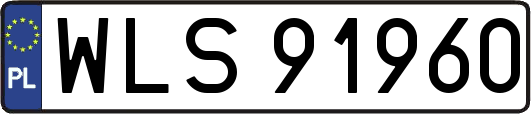 WLS91960