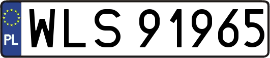WLS91965