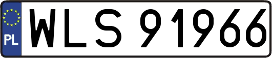 WLS91966