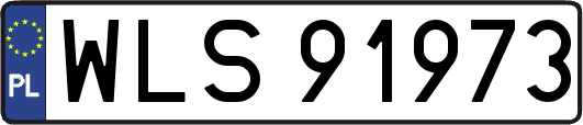 WLS91973