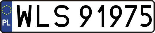 WLS91975