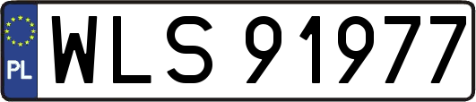 WLS91977