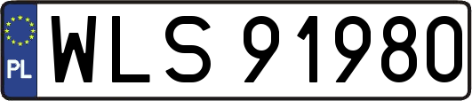 WLS91980