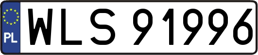 WLS91996