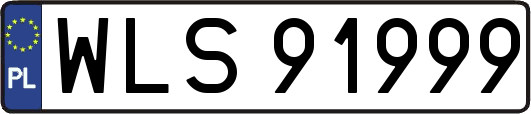 WLS91999