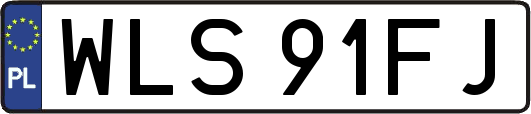 WLS91FJ