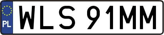 WLS91MM