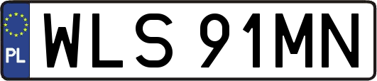 WLS91MN