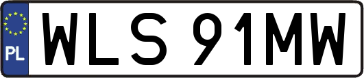 WLS91MW