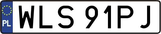 WLS91PJ