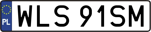 WLS91SM