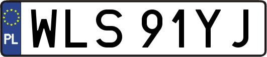 WLS91YJ