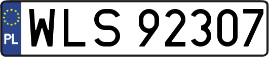 WLS92307